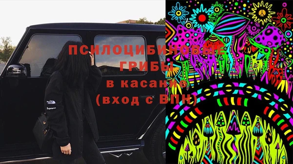 гидра Алексин