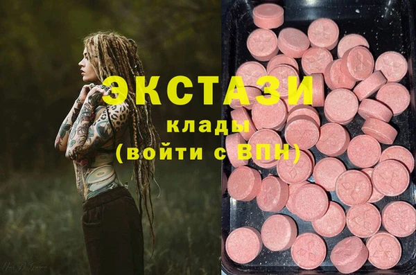 гидра Алексин