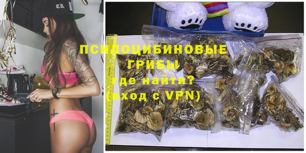гидра Алексин
