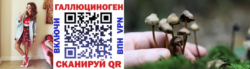 Галлюциногенные грибы прущие грибы  Поронайск 